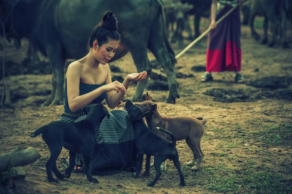 Krásné Asijské Ženy Oblečené Národním Kroji Buffalo Zemědělské Půdě Thajský — Stock fotografie