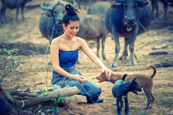 Beautiful Asian Women Dressed National Costume Buffalo Farmland Thai Style — Stock Photo, Image