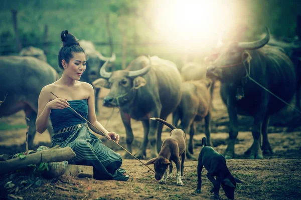 Vackra asiatiska kvinnor klädda i folkdräkt med buffalo en — Stockfoto