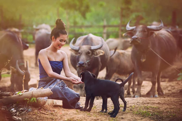 Hermosas mujeres asiáticas vestidas con traje nacional con búfalo a — Foto de Stock