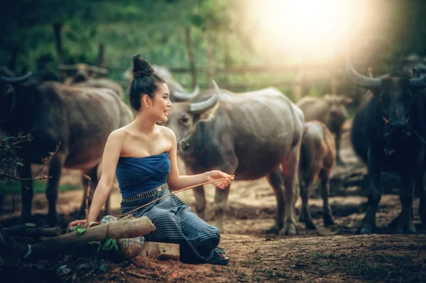 Vackra Asiatiska Kvinnor Klädda Nationella Kostym Med Buffel Jordbruksmark Thai — Stockfoto
