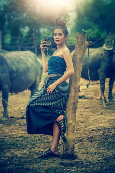 美丽的亚洲女性穿着民族服装与水牛在农田 泰式风格 老式的影响 — 图库照片