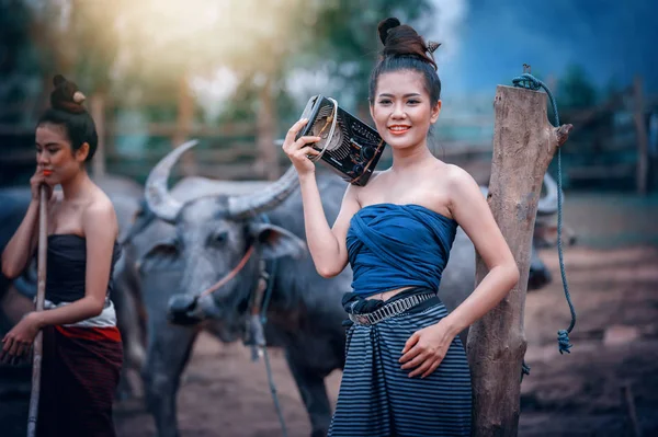 Asijské žena oblečená v národním kroji s buffalo na zemědělskou půdu — Stock fotografie