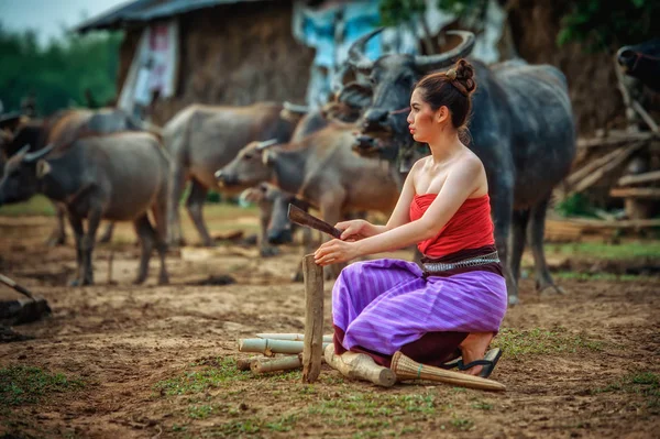 美丽的亚洲女性穿着民族服装与水牛 — 图库照片