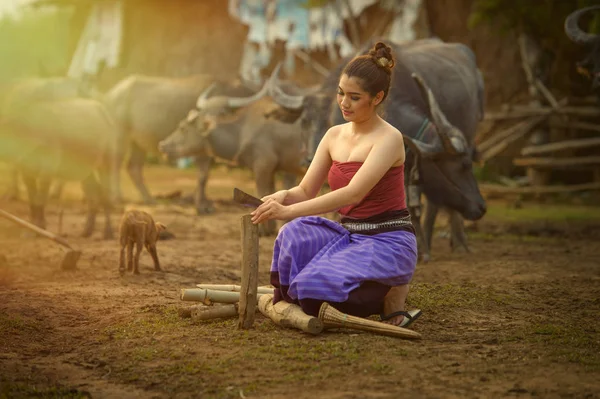 Beautiful Asian women dressed in national costume with buffalo a — Stock Photo, Image