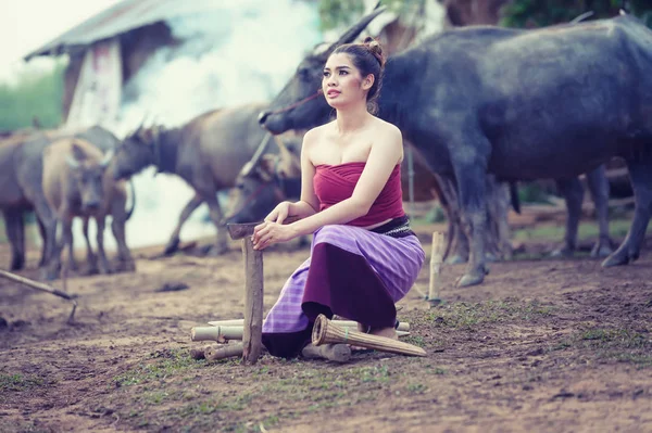 Hermosas mujeres asiáticas vestidas con traje nacional con búfalo a — Foto de Stock