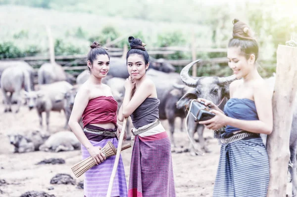 Tres Hermosas Mujeres Asiáticas Vestidas Con Traje Nacional Con Búfalo — Foto de Stock