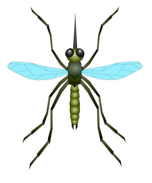 Green Mosquito Long Trunk — Stock Vector