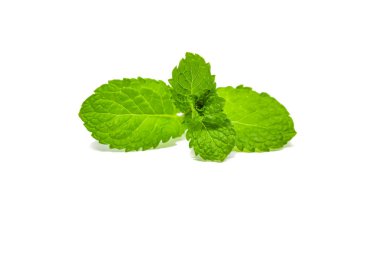 Beyaz zemin üzerine nane yaprakları izole.