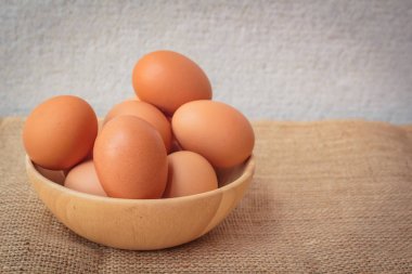 Yumurta, Tavuk Yumurtası.