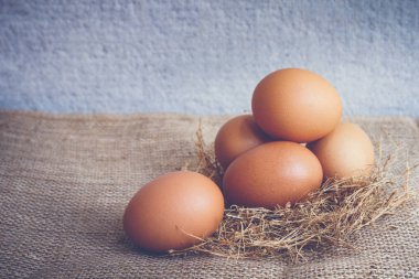 Yumurta, Tavuk Yumurtası.