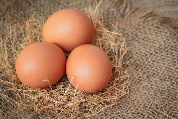Uova, uova di pollo. — Foto Stock