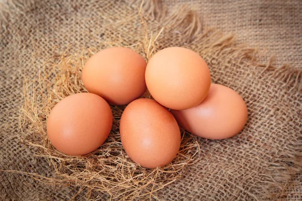 Huevo, huevo de pollo. — Foto de Stock