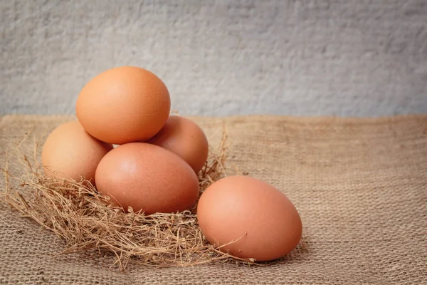 달걀, 닭고기 알. — 스톡 사진