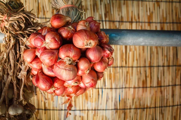 Cibule čerstvá bio červené šalotky. — Stock fotografie