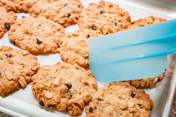 Cookies aux pépites de chocolat. — Photo