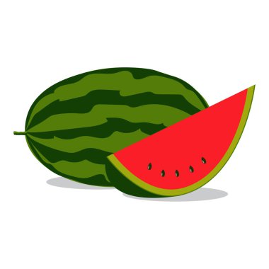 karpuz, meyve illüstrasyon vektör.