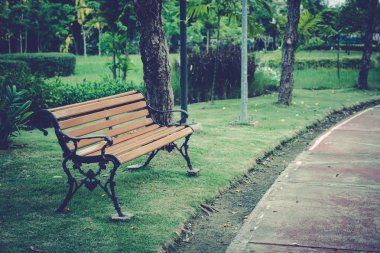 Ahşap Bank ve parkta bir yol.