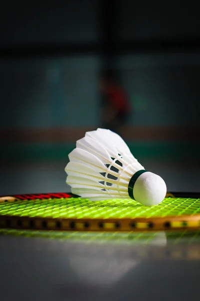 Shuttlecocks and badminton racket. — Stock Photo, Image