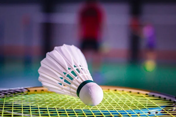 Shuttlecocks and badminton racket.