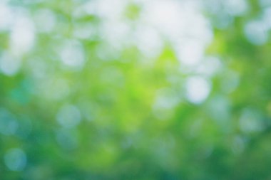 Bulanık doğal ve aydınlık arka plan parkta.