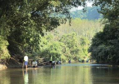 Yağmur ormanlarındaki bir nehir, sisli bir manzara ve ahşap sallarda gezginlerin yüzdüğü dar bir nehir..
