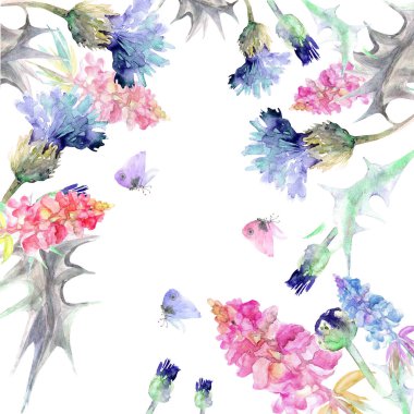 Yaz çayır çiçeklerle kelebekler, suluboya resim, beyaz arka plan üzerinde izole suluboya çiçek açan thistle ve pembe lupines.