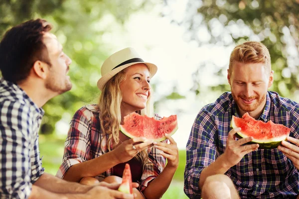 Vrienden genieten van de natuur — Stockfoto