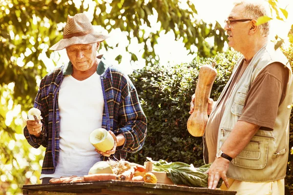 Senior farmers and vegetable — Stock Photo, Image