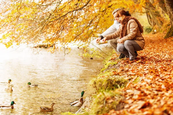 Pareja mayor alimentación patos en el lago — Foto de Stock