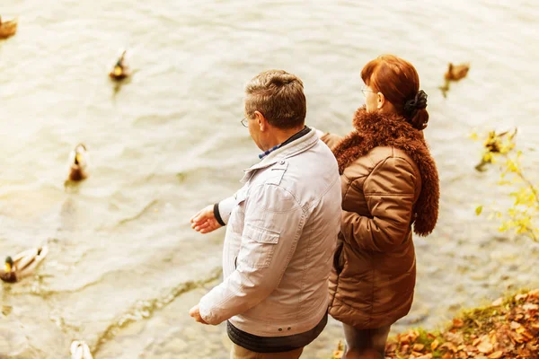 Pareja mayor alimentación patos en el lago — Foto de Stock