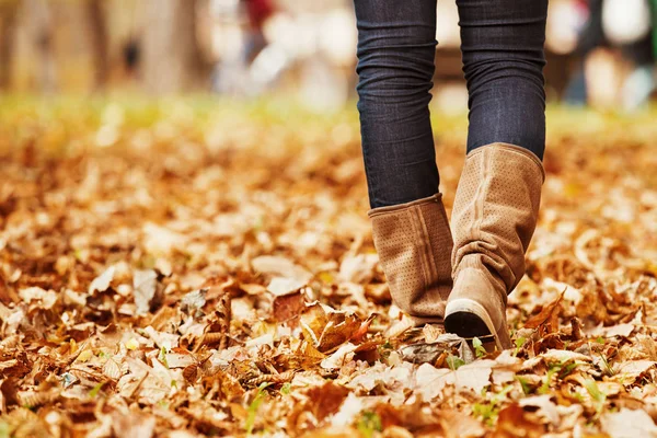 Caminata de otoño. De cerca. . — Foto de Stock