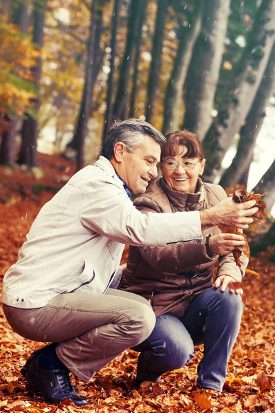 Seniorenpaar genießt — Stockfoto