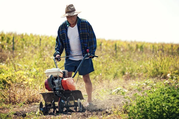 Trabalho na exploração agrícola — Fotografia de Stock