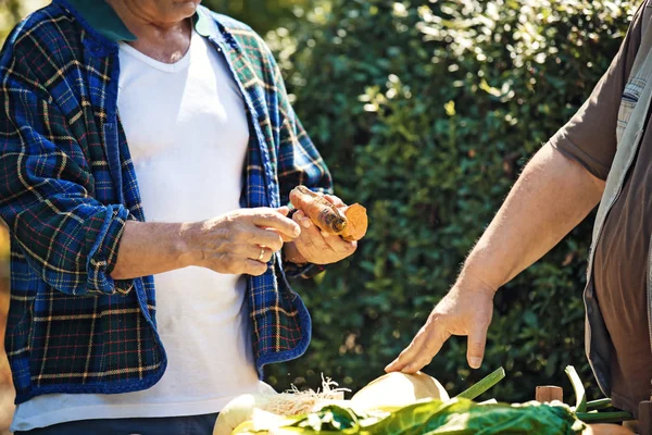 Agricoltori anziani della fattoria — Foto Stock