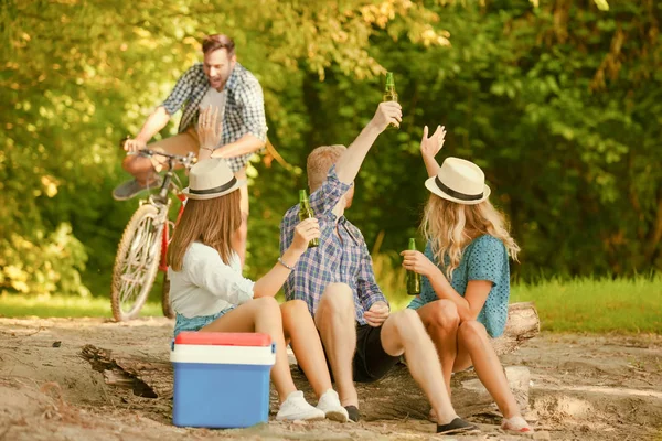 Amigos disfrutando de un picnic —  Fotos de Stock