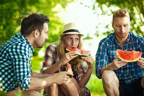 Vrienden op picknick — Stockfoto