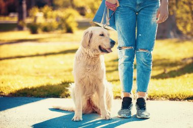Köpek ile kadın zevk park