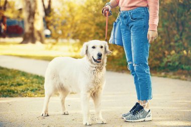 Köpek ile kadın zevk park