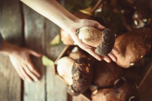 Mushrooms on the table — Stock Photo, Image