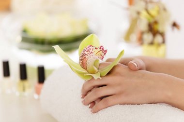 Fransız manikür. İyi manikürlü tırnaklar. 