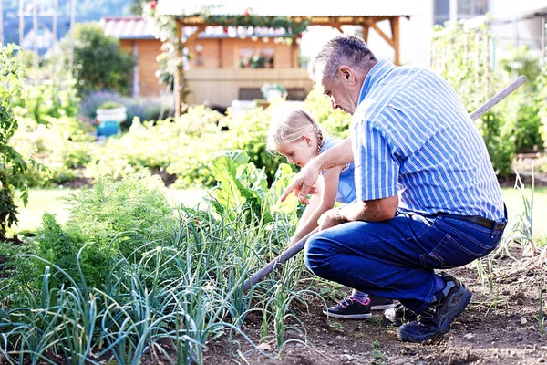 Lavorare in giardino — Foto Stock