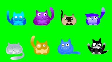 Yeşil ekranında müzikal kediler 