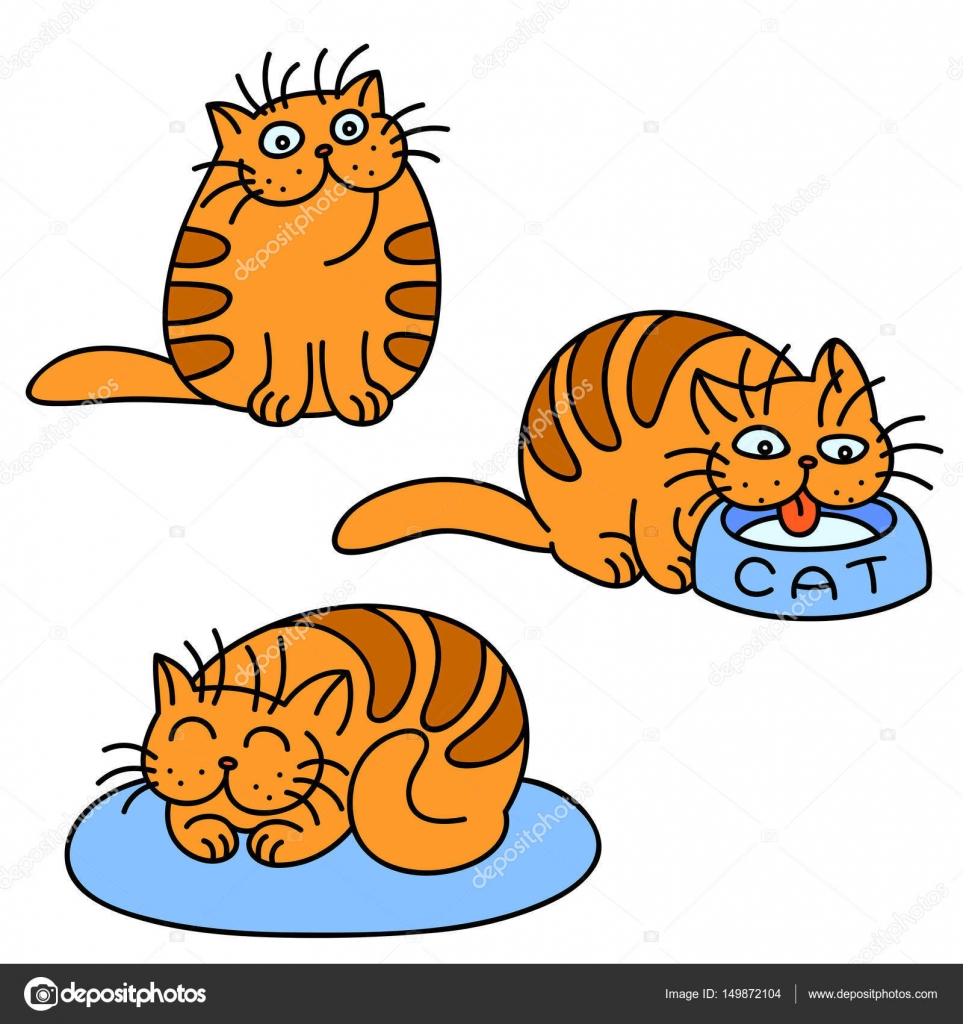 トップコレクション オレンジ 猫 キャラクター デザイン文具 トップコレクション オレンジ 猫 キャラクター デザイン文具