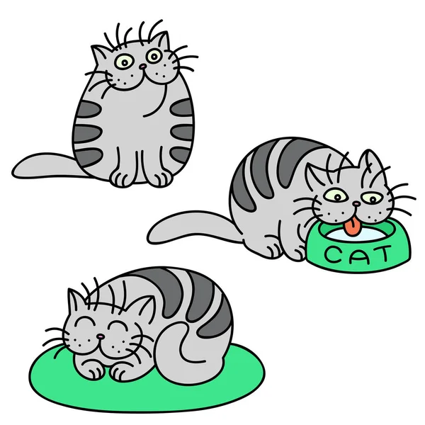 Gatos Cinzentos Emoticons Set. Ilustração Vectorial Isolada . — Vetor de Stock