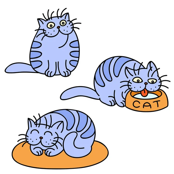 Mavi kedi ifadeleri ayarlayın. İzole vektör çizim. — Stok Vektör