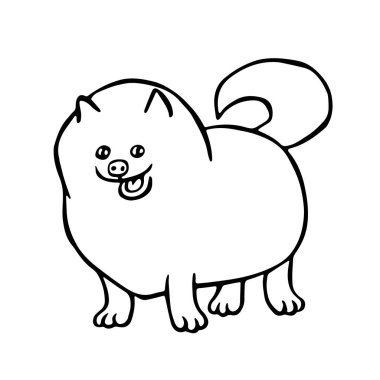 Pomeranian Spitz köpek. İzole vektör çizim