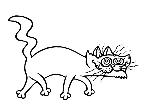 Uğursuz kedi. Vektör çizim. — Stok Vektör