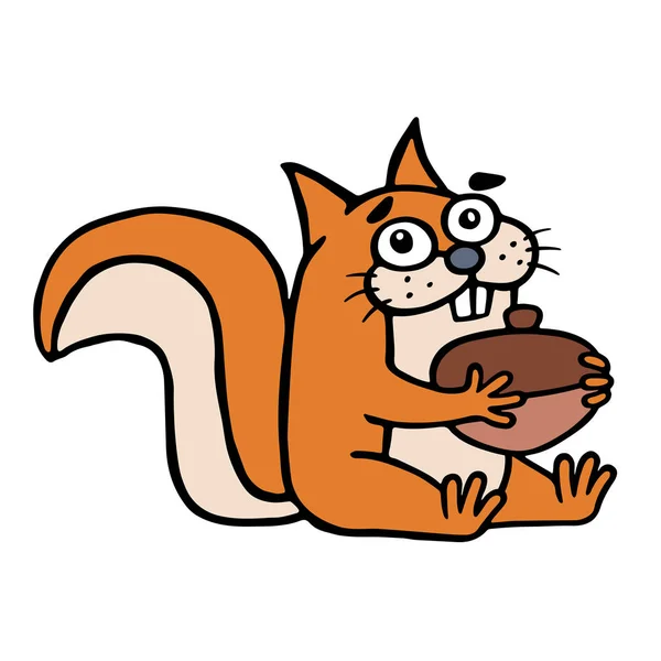 Lo scoiattolo carino ha trovato una noce grande e sorride felicemente. Illustrazione vettoriale . — Vettoriale Stock