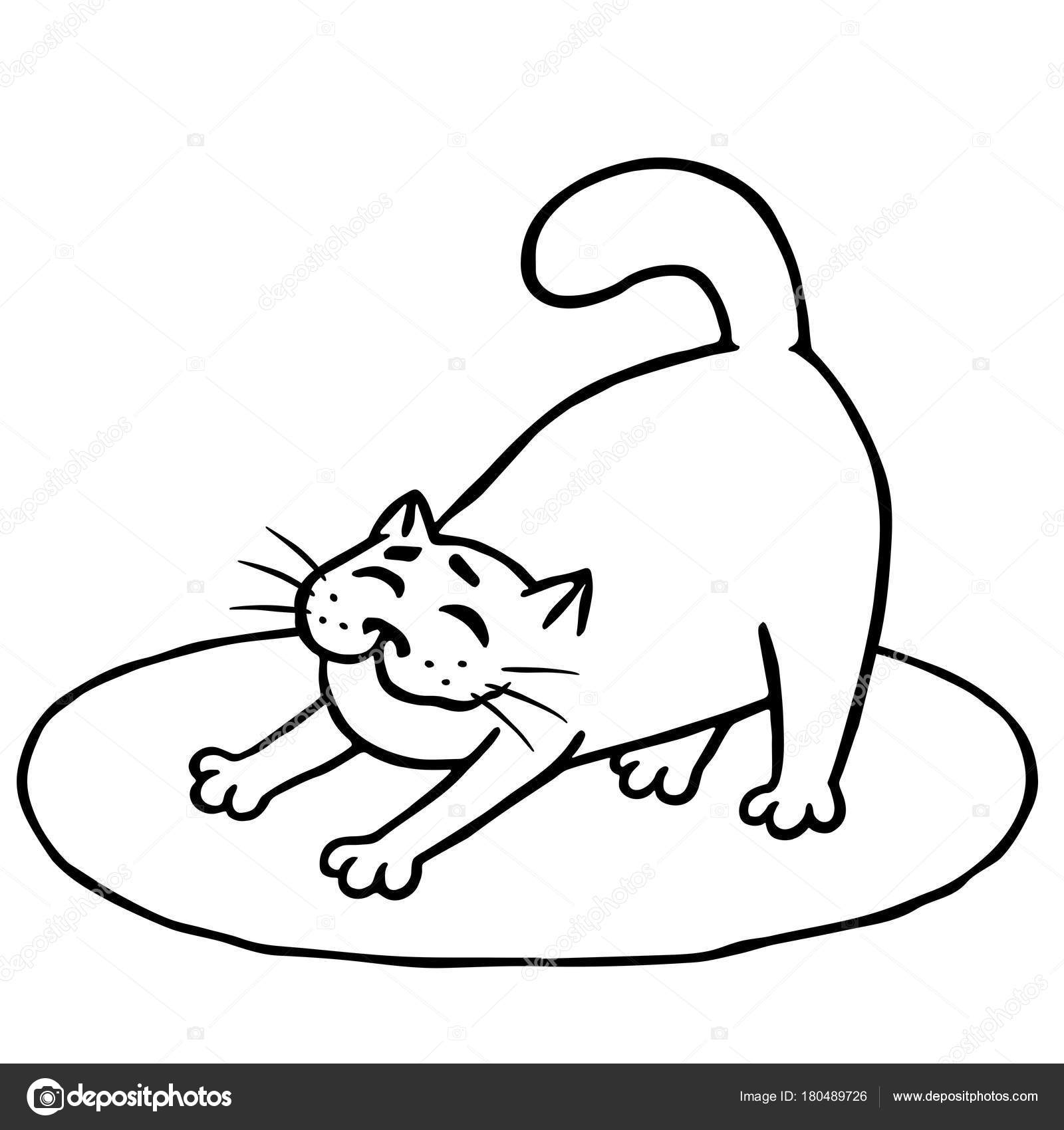 Кот проснулся рисунок